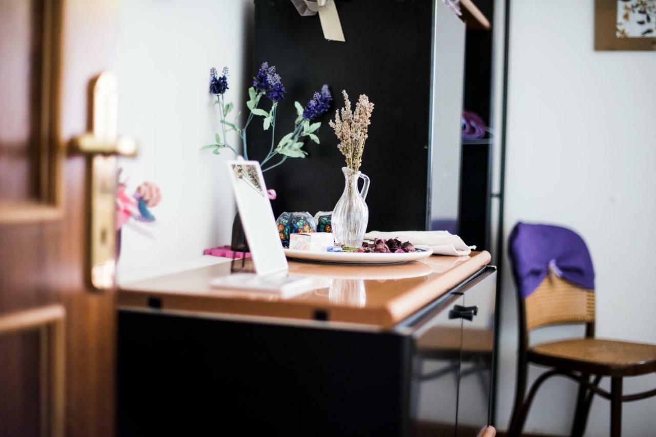 Amor Di Lavanda Cingoli Extérieur photo