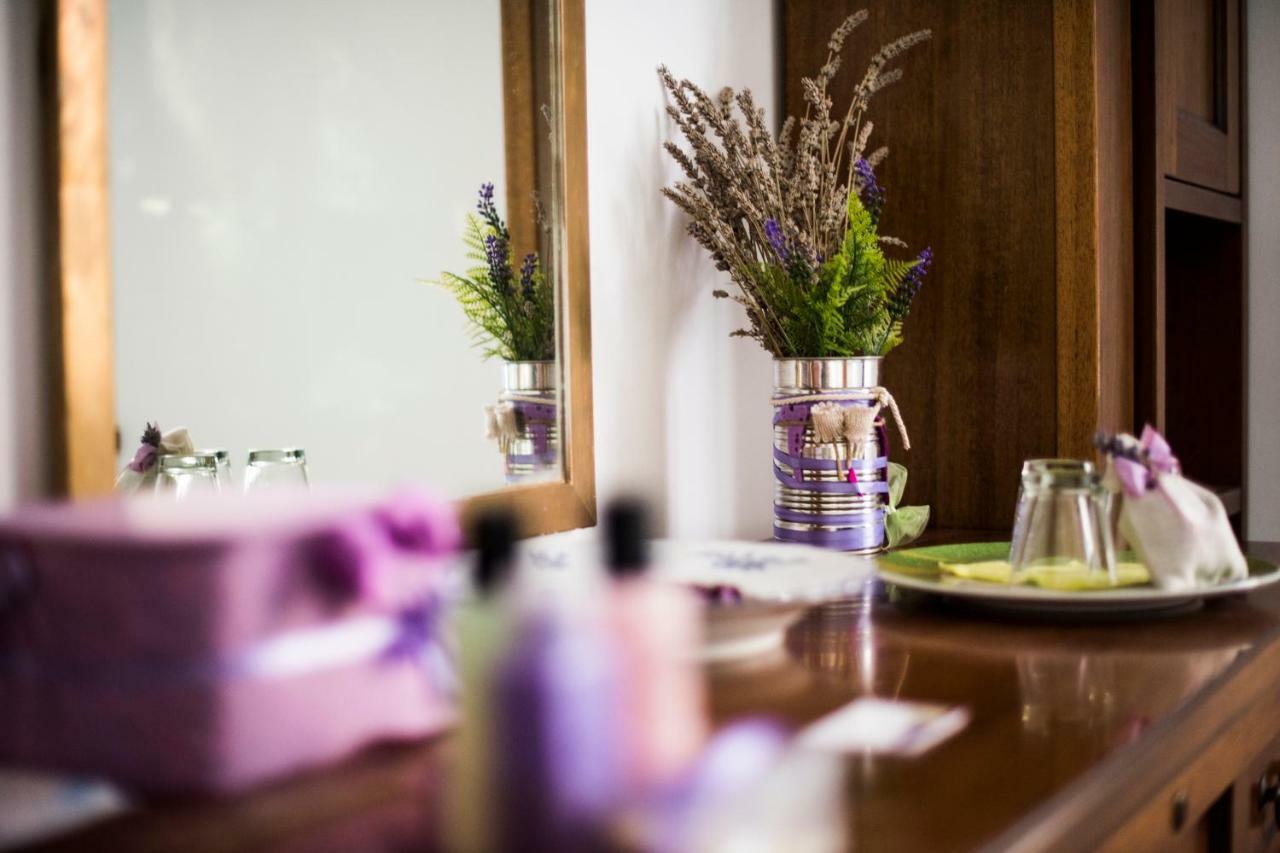 Amor Di Lavanda Cingoli Extérieur photo